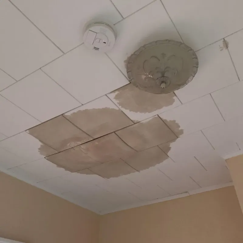 Ceiling Water Damage Repair in Scottsville, NY